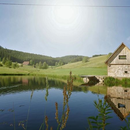 הוילה הורנברג Ferienhaus Im Schwarzwald Am See "Backhaeusle" מראה חיצוני תמונה